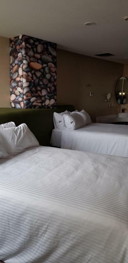 Hotel Quinto Elemento à Mexico Extérieur photo